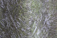 Worsley Hall fibreglass roof work